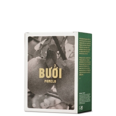 Nước Dưỡng Tóc Tinh Dầu Bưởi Cocoon Giúp Giảm Gãy Rụng & Làm Mềm Tóc 140ml