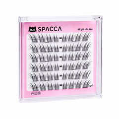 Hộp Lông Mi Giả Sẵn Keo SPACCA