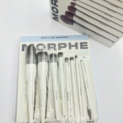Bộ 8 cọ Morphe Best of Blends Face Eye Brush Set