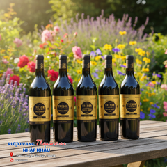 Vang Pháp TRÉSOR DE FAMILLE BOUEY RED - Vang Đỏ Medoc Tinh Tế