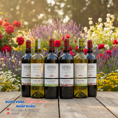 Vang đỏ Pháp CALVET MERLOT CABERNET - Dấu Ấn Hương Vị Pháp