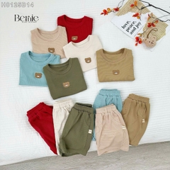 Đồ bộ unisex tay ngắn chất thun tăm cho bé trai bé gái họa tiết thêu gấu size từ 9 đến 24kg BERNIE H0125B14
