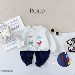 Set bộ Tiny Dino thun da cá dài tay phối màu họa tiết khủng long kèm quần dài size 9 tới 28kg BERNIE H0725B48