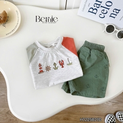 Bộ Rêu Sóng BERNIE H1225B21Đ