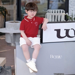 Set bộ polo tay ngắn cổ bo dệt họa tiết gấu kèm quần short kaki cho bé trai size 1 tới 7 tuổi BERNIE KIDS P0225A38