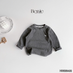 Áo thun cổ tròn áo cotton bozip thu đông dài tay thêu cún nhiều màu cho bé trai bé gái size 9 đến 25kg BERNIE H0826A02