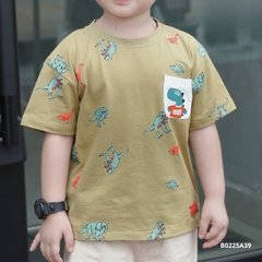 Bộ khủng long b0225A39