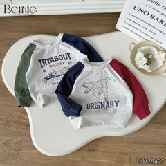 Áo thun áo phông cho bé trai tay dài raplang họa tiết ô tô size 9 đến 28kg BERNIE H0725A27