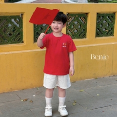 Áo thun áo Cờ đỏ sao vàng Việt Nam chất cotton tay ngắn unisex cho bé trai bé gái size 9 tới 28kg BERNIE H0226A24Đ