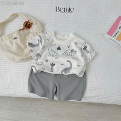 Set bộ thun cotton họa tiết khủng long phong cách hàn quốc cho bé trai 1 đến 7 tuổi BERNIE H1024B39