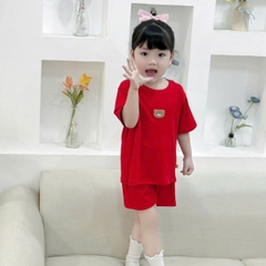 Đồ bộ unisex tay ngắn chất thun tăm cho bé trai bé gái họa tiết thêu gấu size từ 9 đến 24kg BERNIE H0125B14