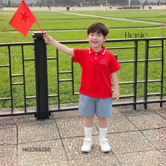 Set bộ polo Lá cờ Độc lập Việt Nam áo polo đỏ kèm quần short cho bé trai size 9 tới 25kg BERNIE H0226B25Đ