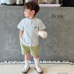 Set sơ mi tay ngắn cổ trụ kẻ sọc thêu khủng long và cá sấu cho bé trai 9kg tới 25kg Bernie 1223B025