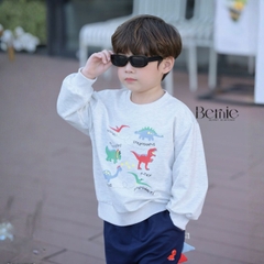 Set bộ Tiny Dino thun da cá dài tay phối màu họa tiết khủng long kèm quần dài size 9 tới 28kg BERNIE H0725B48