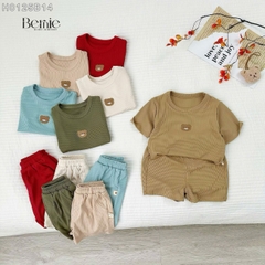 Đồ bộ unisex tay ngắn chất thun tăm cho bé trai bé gái họa tiết thêu gấu size từ 9 đến 24kg BERNIE H0125B14