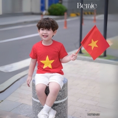 Bộ lá cờ BERNIE BH0725A30