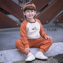 Set bộ thun dài tay áo raplang phối màu họa tiết thêu cún hello kèm quần dài size 9 tới 28kg BERNIE H0725B68