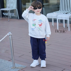 Set bộ Tiny Dino thun da cá dài tay phối màu họa tiết khủng long kèm quần dài size 9 tới 28kg BERNIE H0725B48