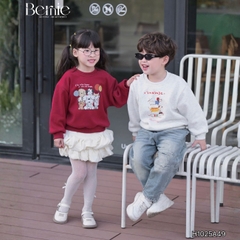 Áo thun áo nỉ lót lông tay dài họa tiết nghộ nghĩnh nhiều màu cho bé trai bé gái size 11 tới 28kg BERNIE H1025A49