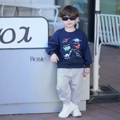 Set bộ Tiny Dino thun da cá dài tay phối màu họa tiết khủng long kèm quần dài size 9 tới 28kg BERNIE H0725B48