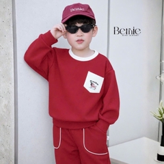 Set bộ cotton nỉ 2 da cho bé trai áo tay dài Freedom Boy kèm quần size 9kg tới 26kg BERNIE H0526B34