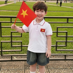 Áo thun polo Lá cờ đỏ sao vàng em bé Việt Nam tay ngắn unisex bé trai bé gái 9-28kg BERNIE H0725A41