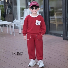 Set bộ cotton nỉ 2 da cho bé trai áo tay dài Freedom Boy kèm quần size 9kg tới 26kg BERNIE H0526B34