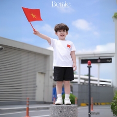 Bộ lá cờ BERNIE BH0725A30