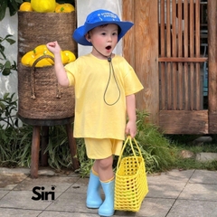 Set BỐN MÙA SIRI SR0623B8