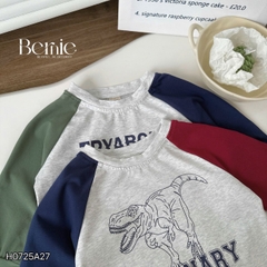 Áo thun áo phông cho bé trai tay dài raplang họa tiết ô tô size 9 đến 28kg BERNIE H0725A27