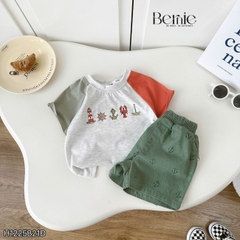 Bộ Rêu Sóng BERNIE H1225B21Đ