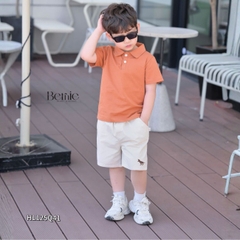 Quần kaki quần short đùi thêu họa tiết khủng long Dino cho bé trai size 9 tới 28kg BERNIE H1125Q41