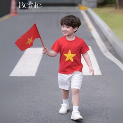 Bộ lá cờ BERNIE BH0725A30