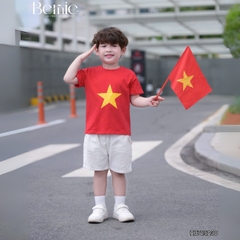 Bộ lá cờ BERNIE BH0725A30