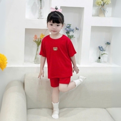 Đồ bộ unisex tay ngắn chất thun tăm cho bé trai bé gái họa tiết thêu gấu size từ 9 đến 24kg BERNIE H0125B14