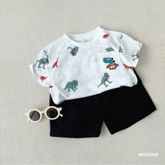 Bộ khủng long b0225A39