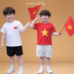 Bộ lá cờ BERNIE BH0725A30