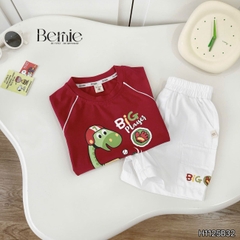Set bộ khủng long Big Player cho bé trai áo tay ngắn raplang kèm quần short kaki bé trai 9 tới 28kg BERNIE H1125B32