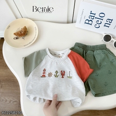 Bộ Rêu Sóng BERNIE H1225B21Đ