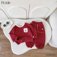 Set bộ cotton nỉ 2 da cho bé trai áo tay dài Freedom Boy kèm quần size 9kg tới 26kg BERNIE H0526B34