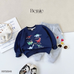 Set bộ Tiny Dino thun da cá dài tay phối màu họa tiết khủng long kèm quần dài size 9 tới 28kg BERNIE H0725B48