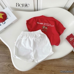 Bộ lá cờ BERNIE BH0725A30