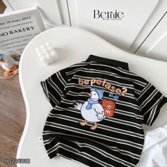 Set bộ tay ngắn áo polo họa tiết kẻ Happy Duck kèm quần short kaki cho bé trai size 9 đến 28kg BERNIE H0226B32