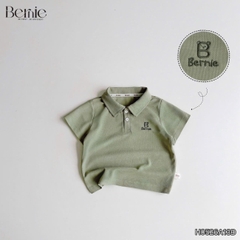 Áo thun áo polo thêu Bear nhiều màu cho bé trai đi học đi chơi size 9 đến 27kg BERNIE H0526A13Đ