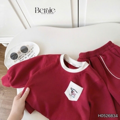 Set bộ cotton nỉ 2 da cho bé trai áo tay dài Freedom Boy kèm quần size 9kg tới 26kg BERNIE H0526B34