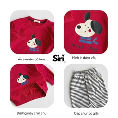 Set bộ dài tay thu đông thun cotton áo đỏ họa tiết cún nhỏ ấm áp kèm quần dài kẻ sọc size 9 tới 26kg BERNIE SIRI 6382BDK