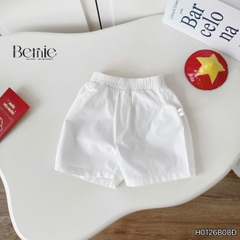 Bộ lá cờ BERNIE BH0725A30