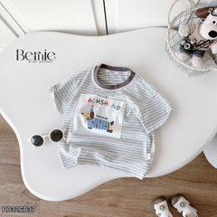 Set bộ bé trai áo thun tay ngắn họa tiết kẻ ngang Sausage Dog kèm quần short kaki cho bé trai size 9 đến 28kg BERNIE H0326B37
