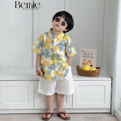 Set đũi họa tiết Bernie T0726B20