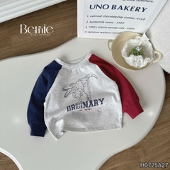 Áo thun áo phông cho bé trai tay dài raplang họa tiết ô tô size 9 đến 28kg BERNIE H0725A27